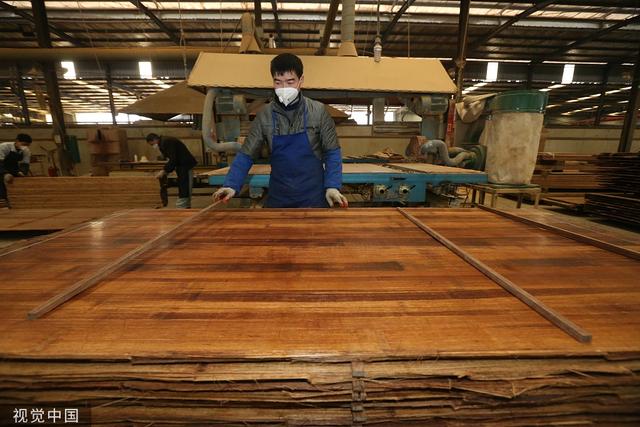 四川眉山 以竹代“钢” 点绿成金的竹产业创新之路