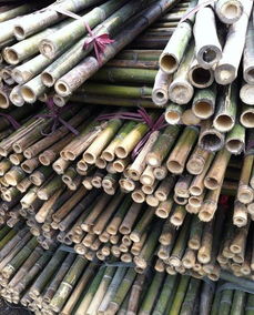 竹韵匠心 从优质原竹到精美竹制品的全产业链服务