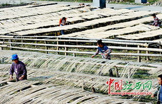 上饶“竹生金” 3万名农家妇女家门口就业，编织绿色致富梦