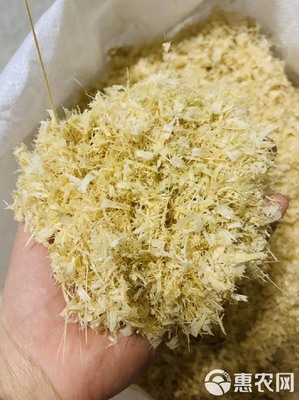 竹海生金 竹屑养殖的绿色循环之道
