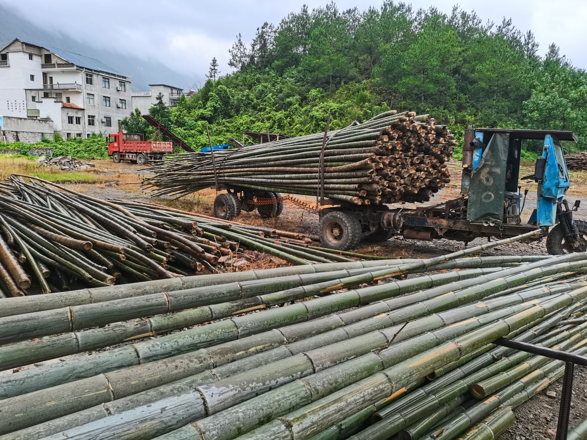 阳新县首家竹产品加工厂投产